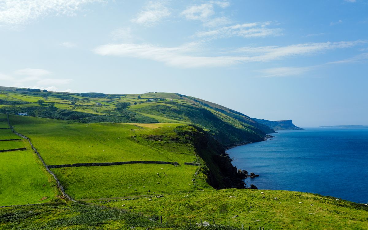 Green coastal headlands above the ocean