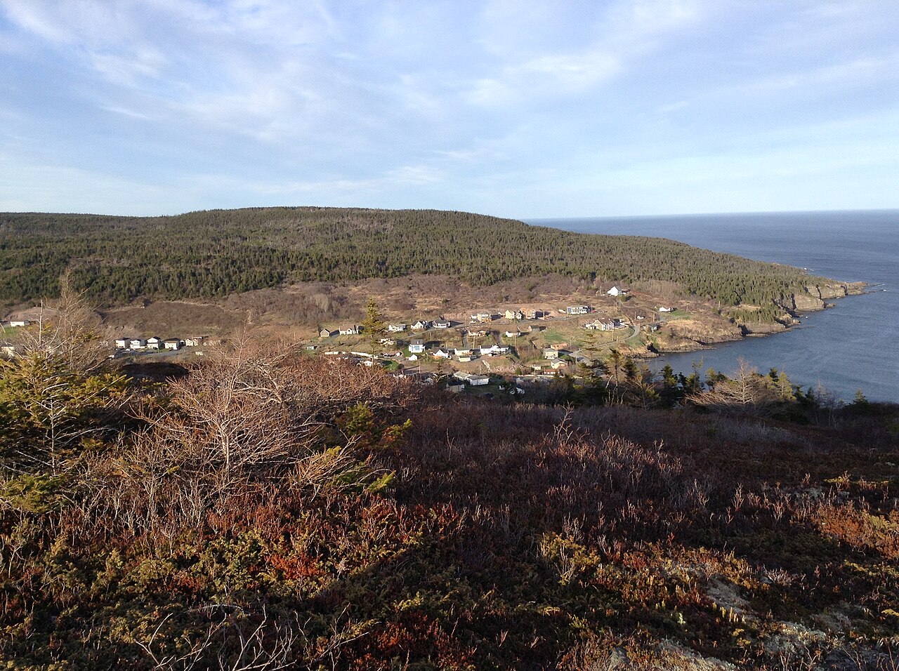 The fishing village of Petty Harbour-Maddox Cove, Newfoundland